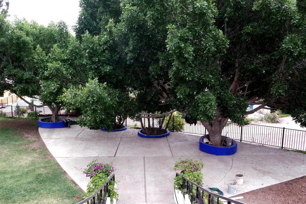 Quinta Los Arrayanes Hotel Ensenada Exterior foto